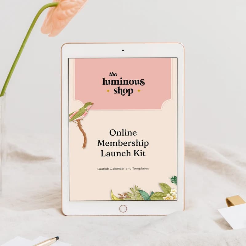 The Launch Email Kit
